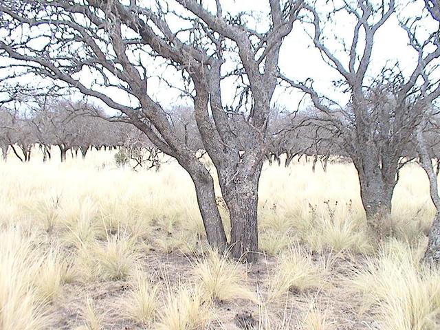 Vista de la confluencia al lado del viejo calden