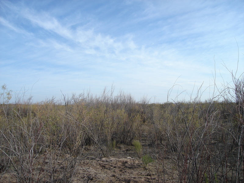 Vista hacia el Norte - View to the North