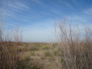 #1: Vista general del area - General overview of the area