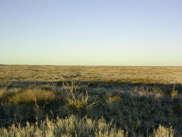 Vista general del area - General view of the zone