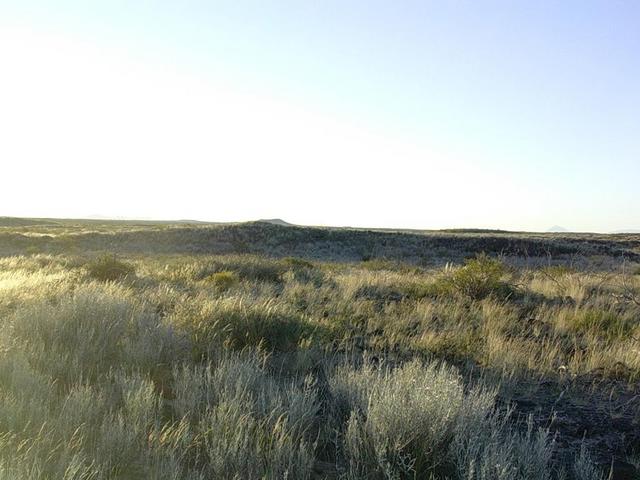 Desierto puro y soledad total sobre la meseta basáltica