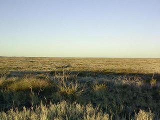 #1: Vista general del area - General view of the zone