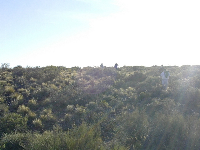 Vista hacia el oeste - View to the west