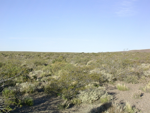 Vista hacia el este - View to the east