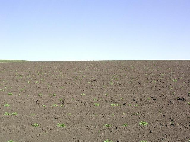 Vista hacia el oeste - View to the west