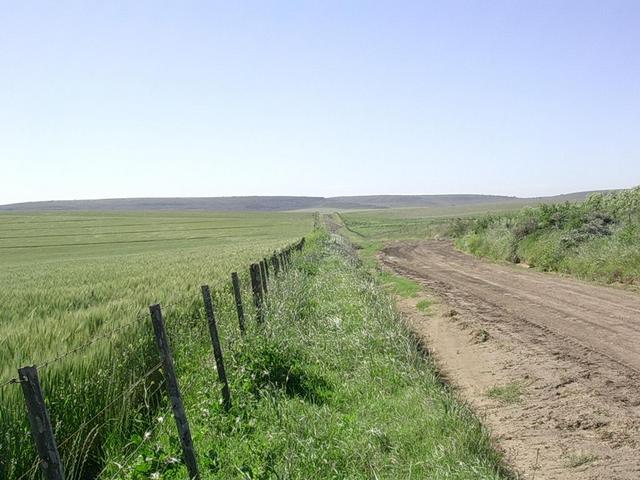 Alrededores de la confluencia - Surroundings of the confluence