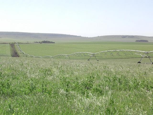 Típico sistema de riego . Typical irrigation system