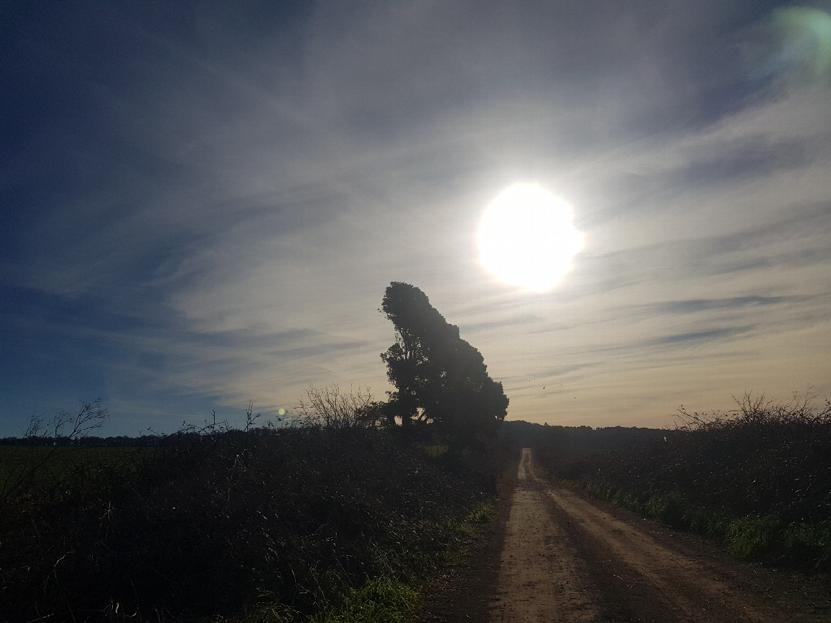 Sun and Road