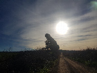 #8: Sun and Road