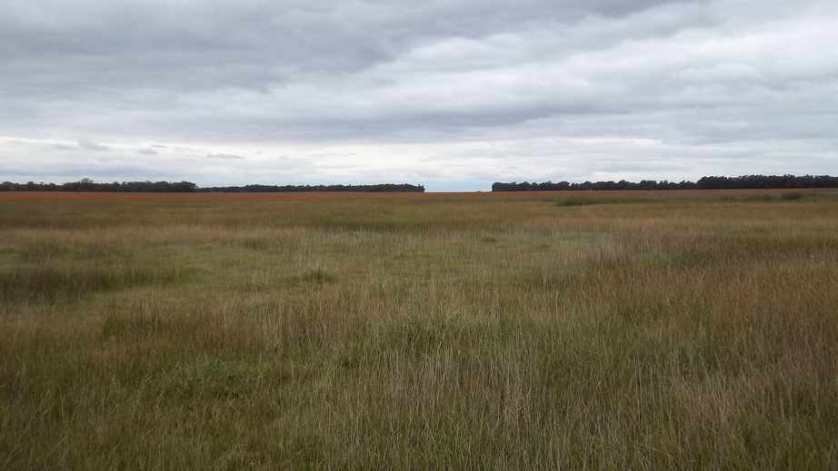 General Area of the Confluence