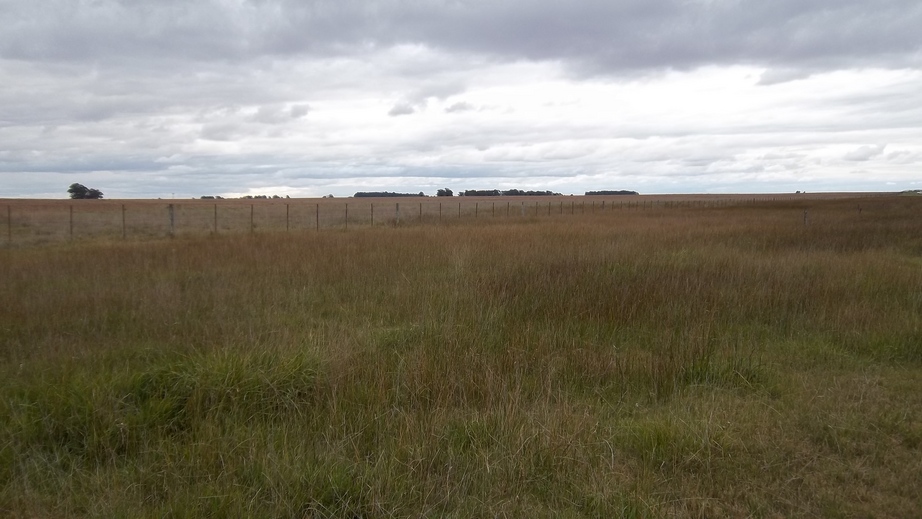 West View from the Confluence