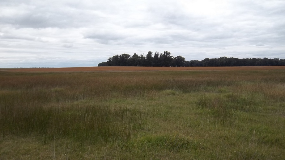 North View from the Confluence