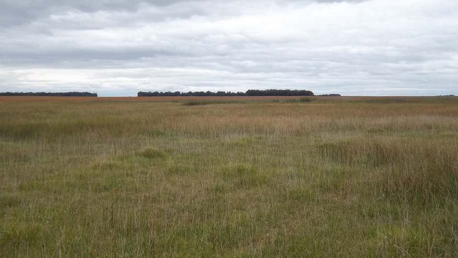 East View from the Confluence