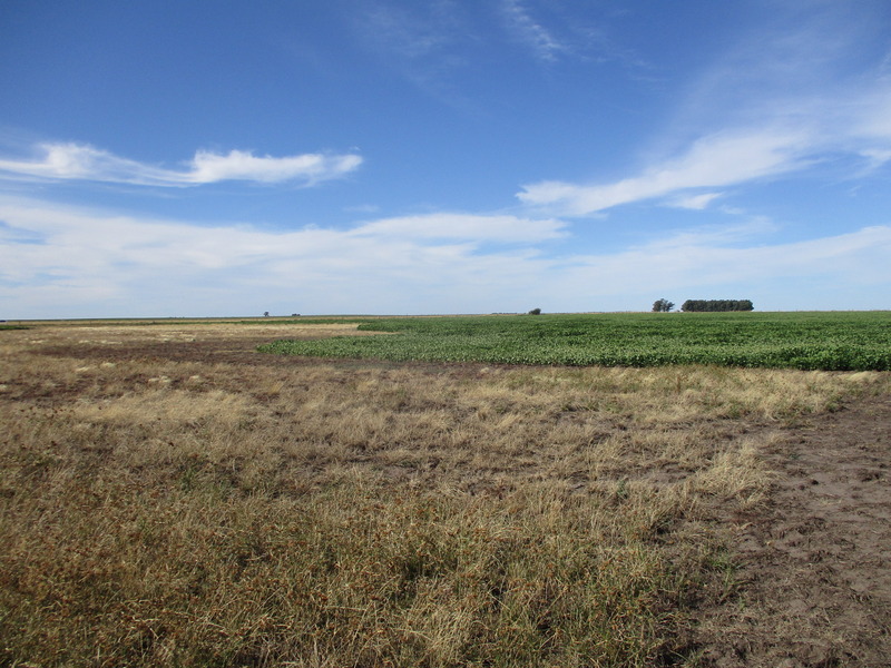 Vista Norte. North view