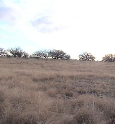 View to the West -Vista hacia el Oeste