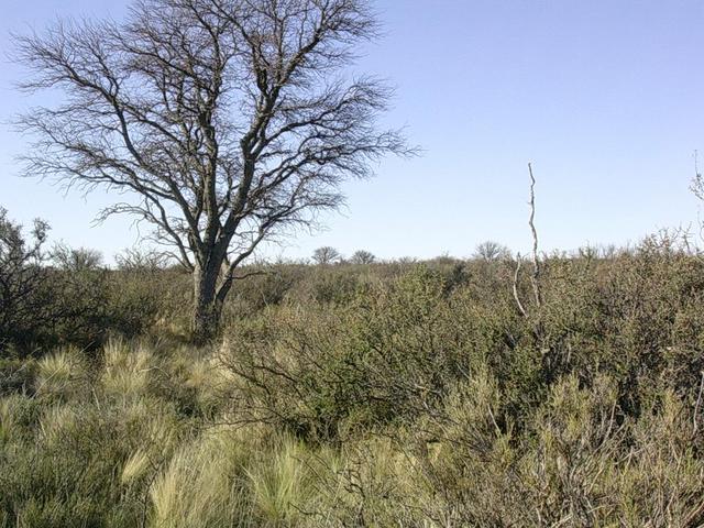 Vista hacia el Norte - View to the North