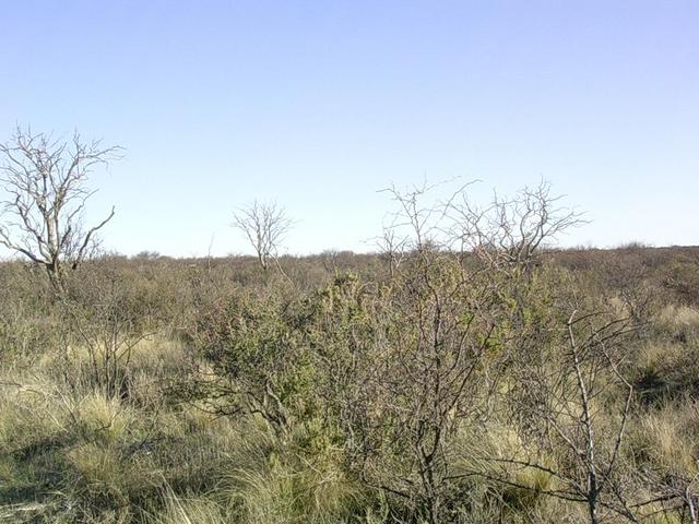 Vista hacia el Sur - View to the South