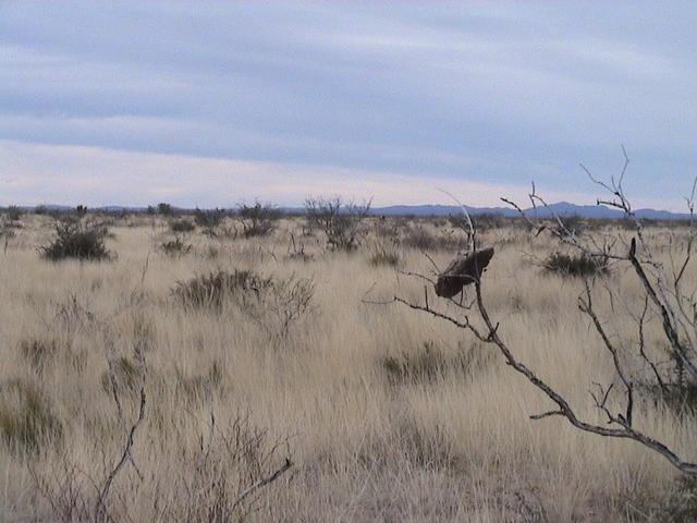 View to the east