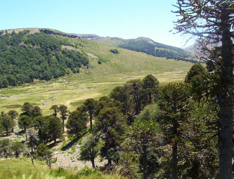 Cajón Los Barros - Hacia el NorOeste. Los Barros Cannon at NW