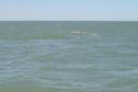 #2: El mar en la confluencia- The sea in the confluence