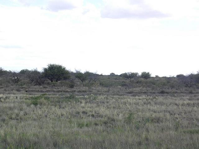 Vista hacia la confluencia desde la R22 - View to the confluence from route 22