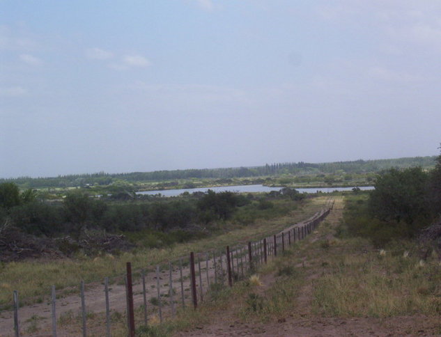 Colorado River