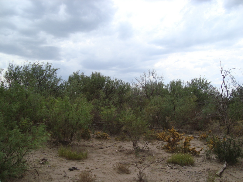 Vista hacia el Norte - View to the North