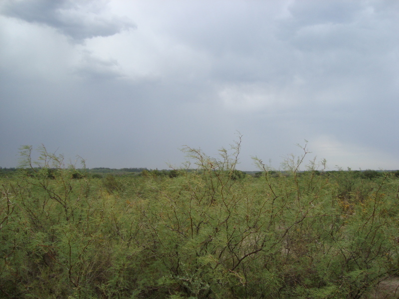 Vista hacia el Sur - View to the South