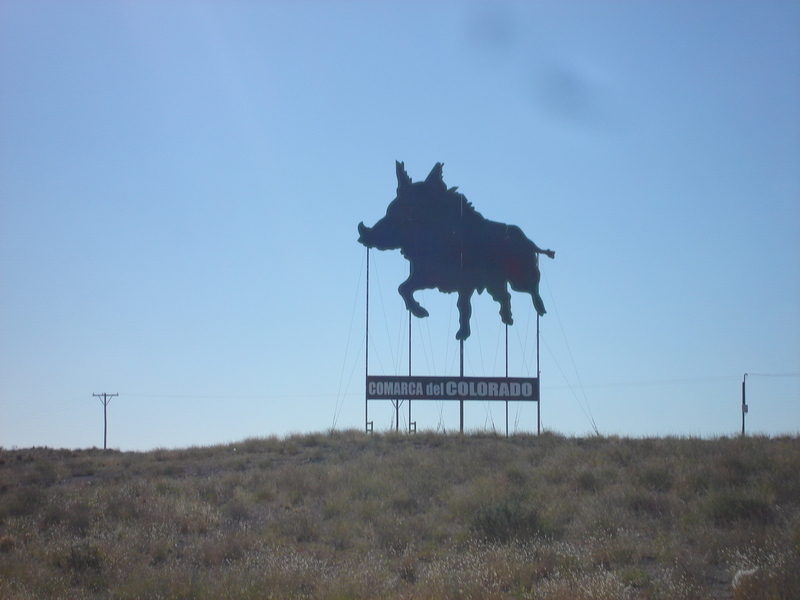 La Comarca del Colorado y sus jabalíes