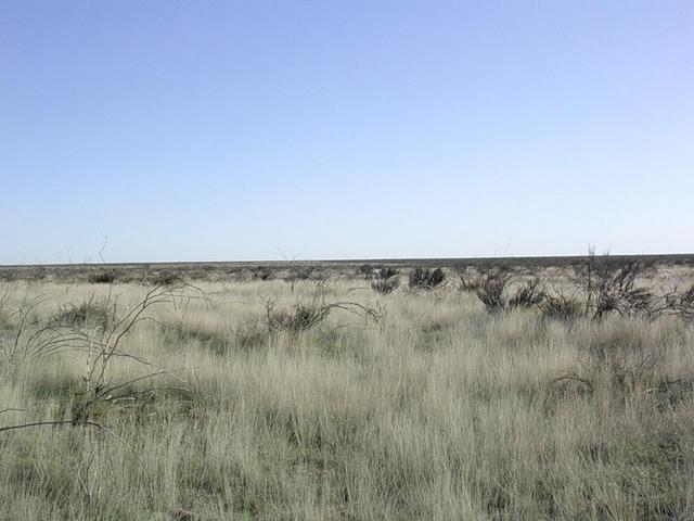 Vista hacia el Norte - View to the North