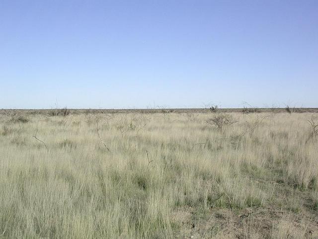 Vista hacia el Oeste - View to the West