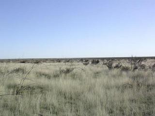 #1: Vista hacia el Norte - View to the North