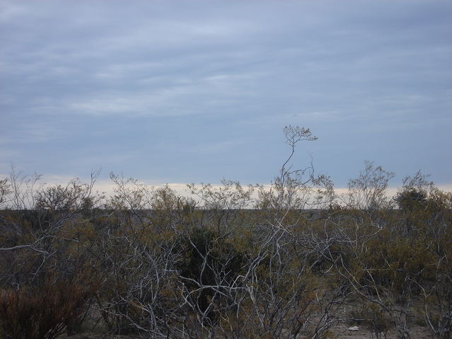 Vista hacia el Norte - View to the North