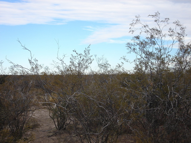 Vista hacia el Oeste - View to the West