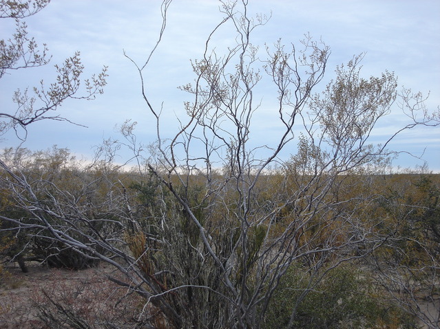 Vista hacia el Este - View to the East