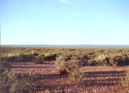 View from the confluence point