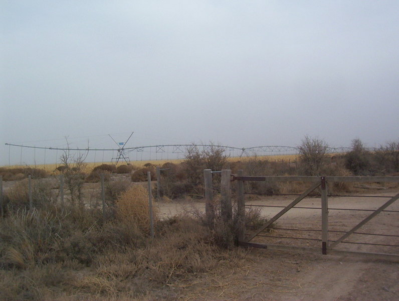 Regadores por aspersión cerca de PC. Watering spraying system close to CP