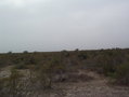 #4: Vista Oeste. West view