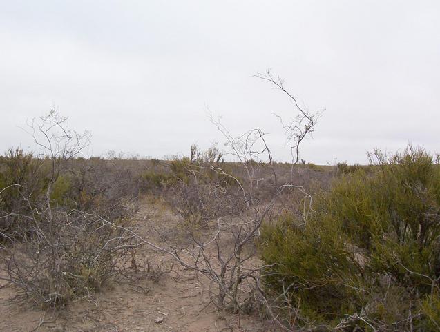 panoramica desde el sur