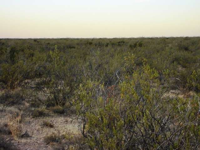 Vista hacia el Norte - View to the North