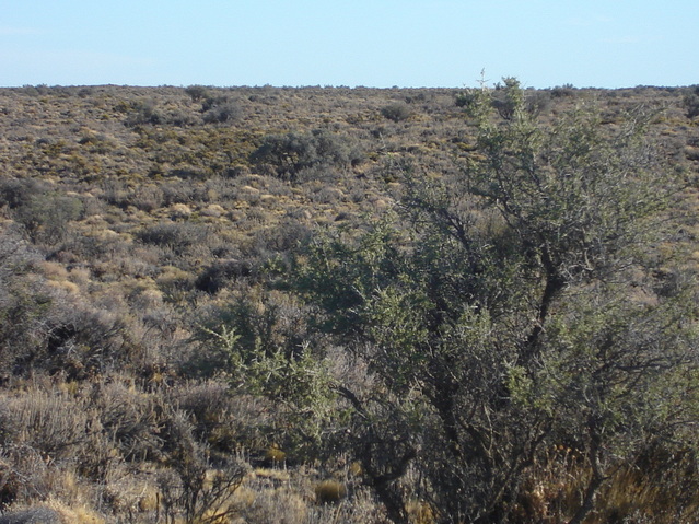 Vista hacia el Norte - View to the North