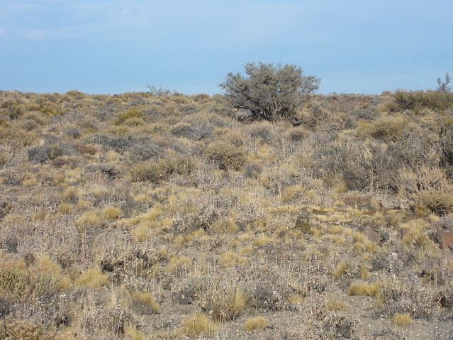 Vista hacia el Oeste - View to the West