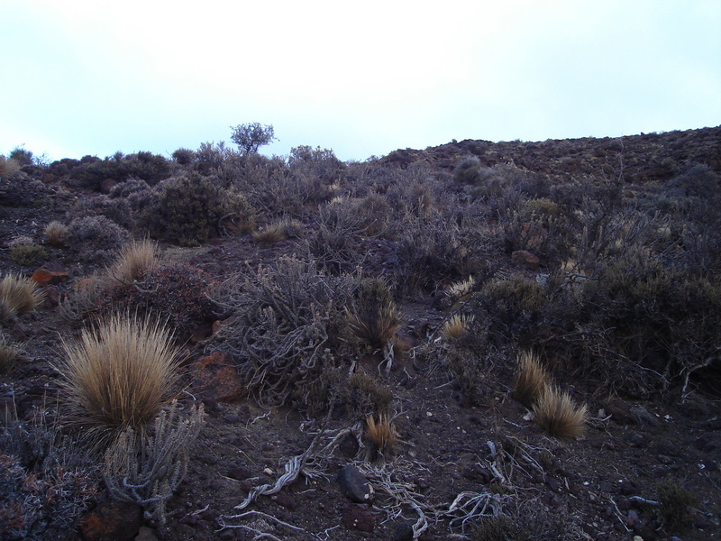 Vista hacia el este - View to the east