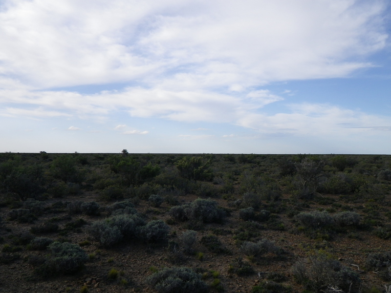 Vista hacia el Norte - View to the North