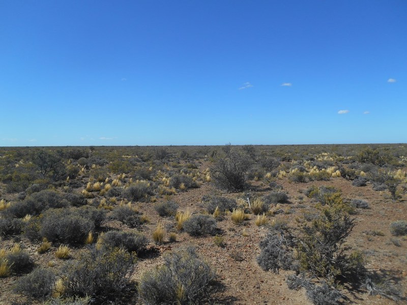 Vista Norte. North view