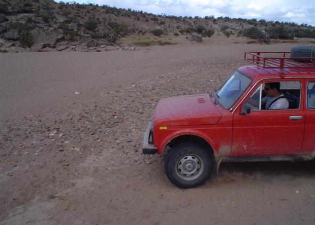 Oscar, ready to cross the dry river