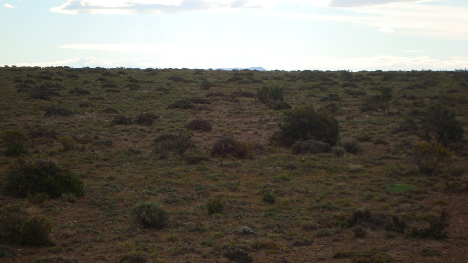 Vista hacia el oeste - View to the West