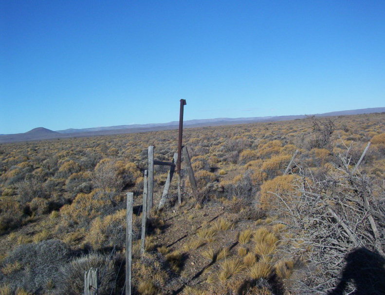 Esquinero del campo fiscal. A corner of the field border