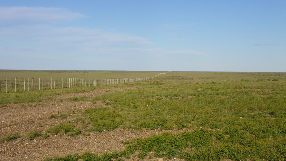 Alambrado infinito - A long fence