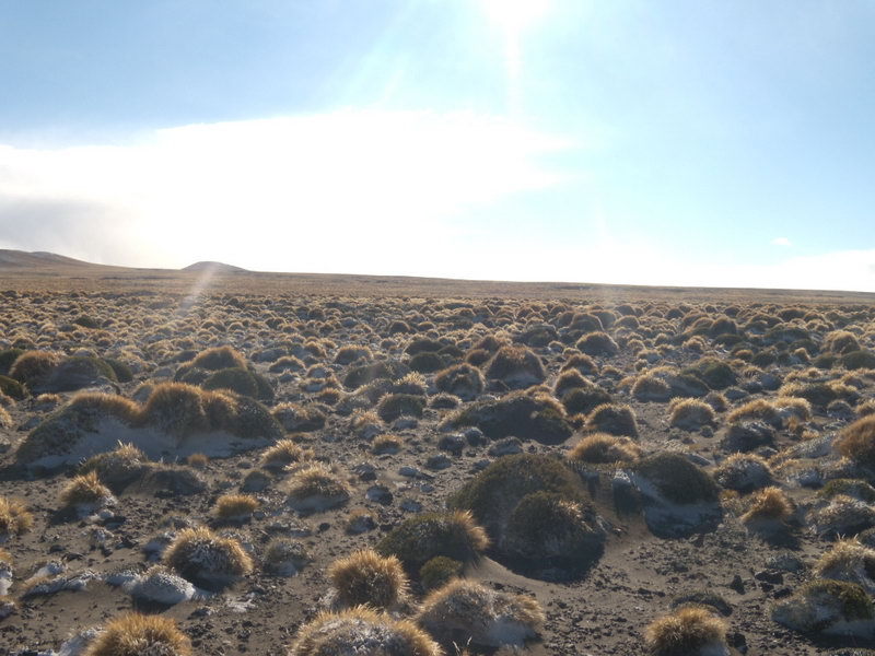 Vista hacia el Oeste - View to the West